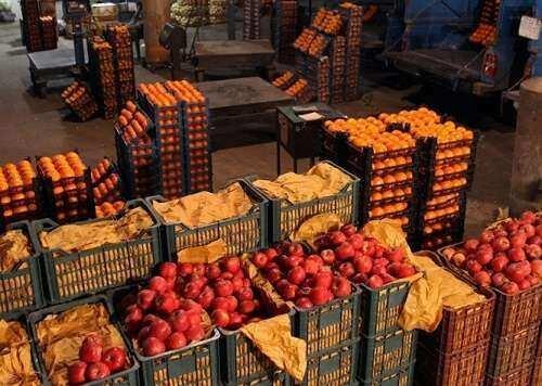 تهیه و ذخیره سازی 200 تن پرتقال و سیب برای شب عید در کهگیلویه و بویراحمد